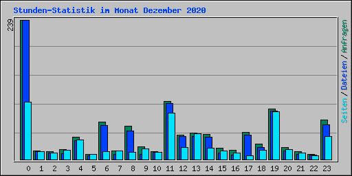Stunden-Statistik im Monat Dezember 2020