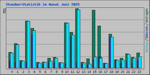 Stunden-Statistik im Monat Juni 2025