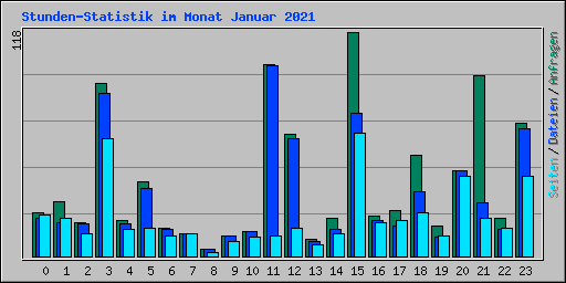 Stunden-Statistik im Monat Januar 2021