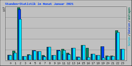 Stunden-Statistik im Monat Januar 2021
