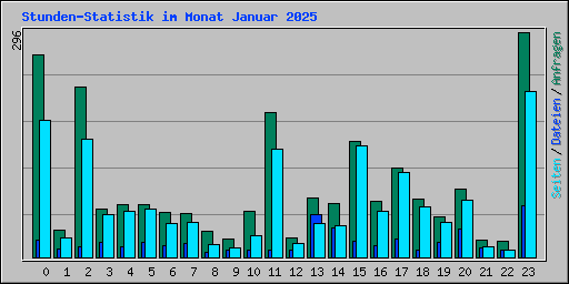 Stunden-Statistik im Monat Januar 2025