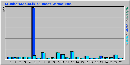 Stunden-Statistik im Monat Januar 2022