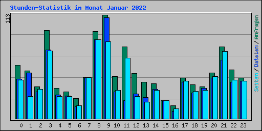 Stunden-Statistik im Monat Januar 2022
