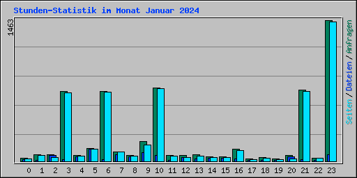 Stunden-Statistik im Monat Januar 2024