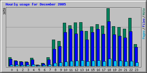 Hourly usage for December 2005