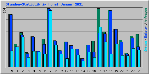 Stunden-Statistik im Monat Januar 2021